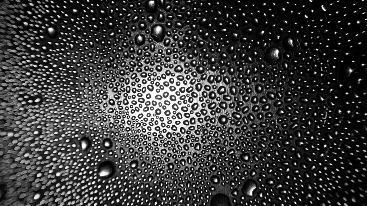 Wallpaper drops, macro, bw, distortion