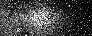 Preview wallpaper drops, macro, bw, distortion