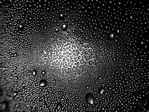 Preview wallpaper drops, macro, bw, distortion