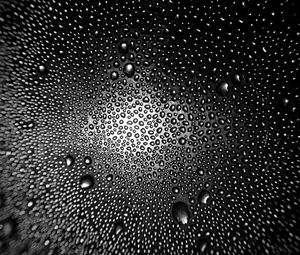 Preview wallpaper drops, macro, bw, distortion