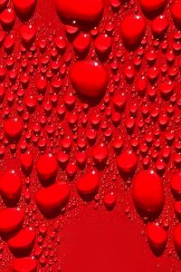 Preview wallpaper drops, macro, red, background