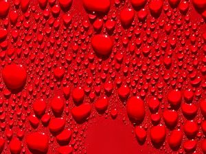 Preview wallpaper drops, macro, red, background
