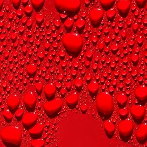 Preview wallpaper drops, macro, red, background