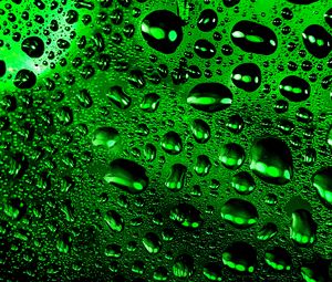 Preview wallpaper drops, macro, wet, surface, green