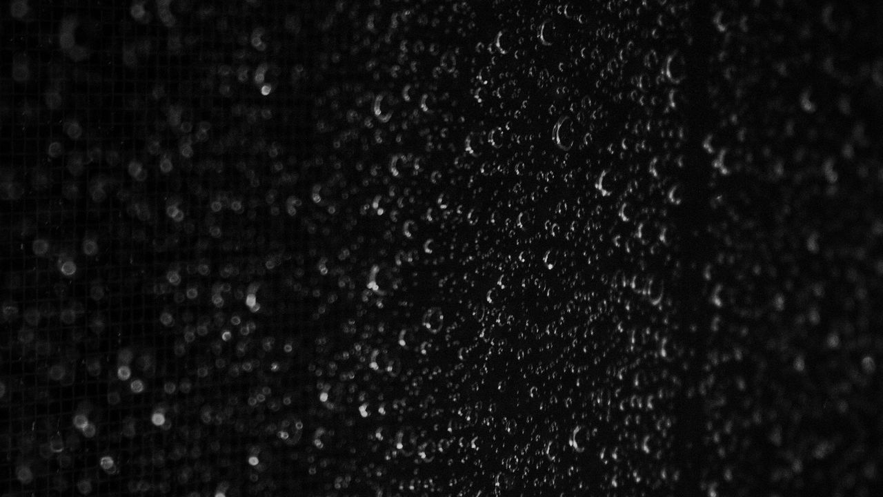 Wallpaper drops, macro, wet, bw