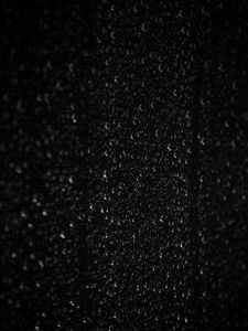 Preview wallpaper drops, macro, wet, bw