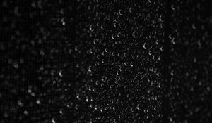 Preview wallpaper drops, macro, wet, bw