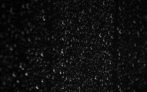 Preview wallpaper drops, macro, wet, bw