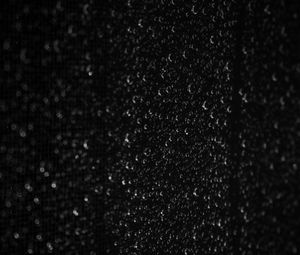 Preview wallpaper drops, macro, wet, bw