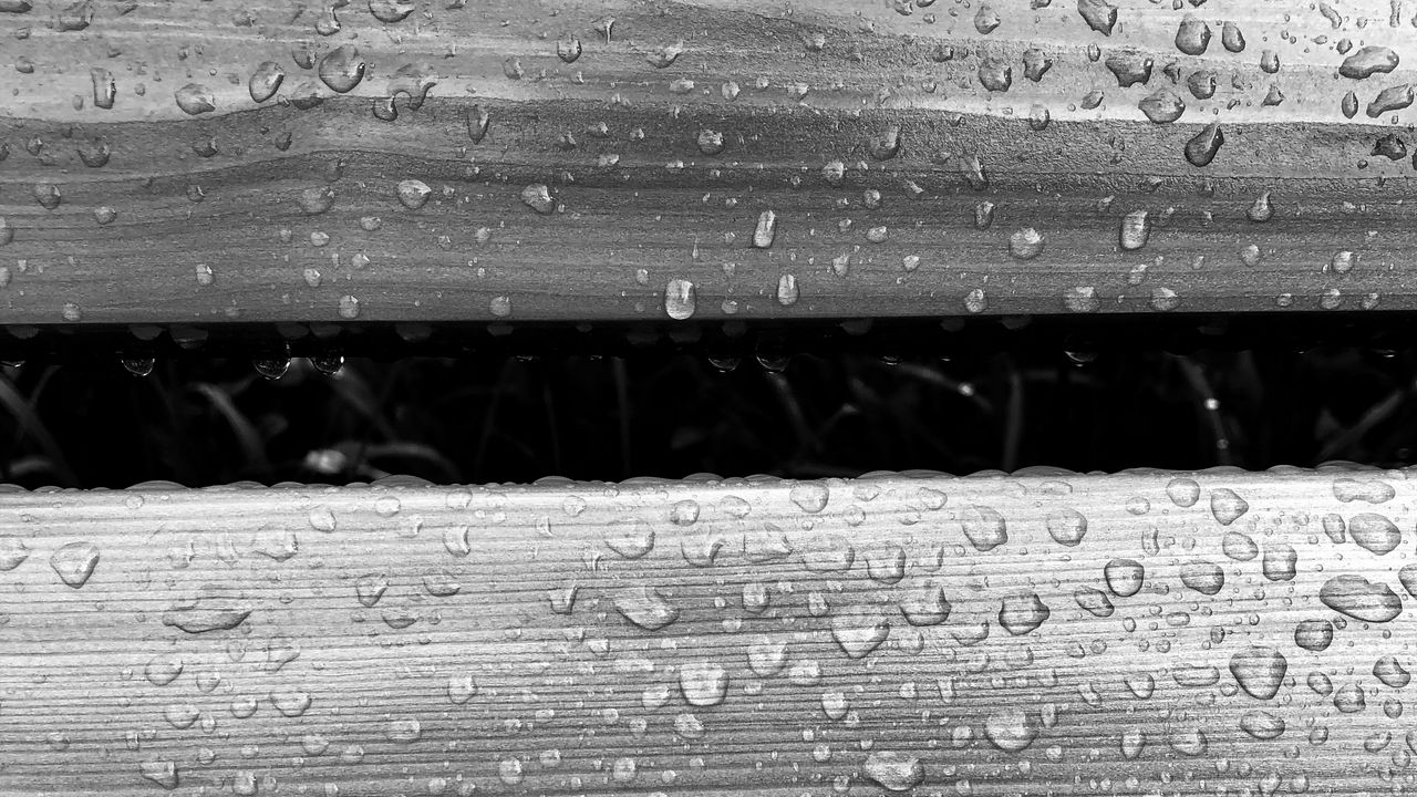 Wallpaper drops, moisture, macro, bw