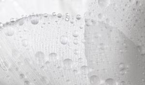 Preview wallpaper drops, petals, water, flower, macro, bw