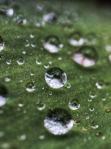 Preview wallpaper drops, rain, dew, leaf, macro