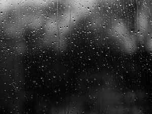 Preview wallpaper drops, rain, glass, water, dark, black and white