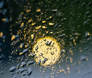 Preview wallpaper drops, rain, glass, light, macro