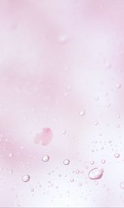 Preview wallpaper drops, rain, macro, background, pink