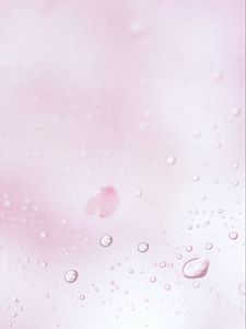 Preview wallpaper drops, rain, macro, background, pink