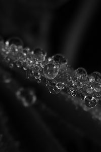 Preview wallpaper drops, rain, sheet, black and white, macro