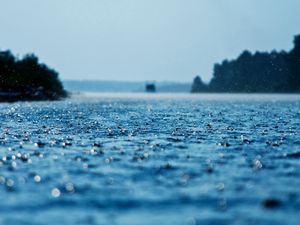 Preview wallpaper drops, rain, surface, water, precipitation
