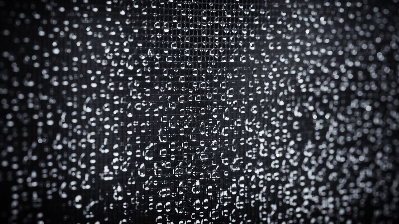 Wallpaper drops, rain, water, grid, macro