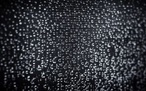 Preview wallpaper drops, rain, water, grid, macro