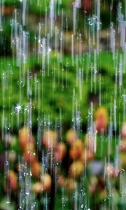 Preview wallpaper drops, rain, waterfall, macro