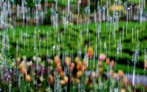 Preview wallpaper drops, rain, waterfall, macro