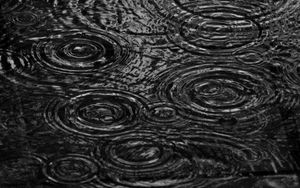 Preview wallpaper drops, ripples, stains, water