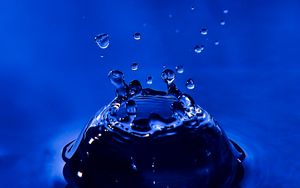 Preview wallpaper drops, splash, spray, macro, water
