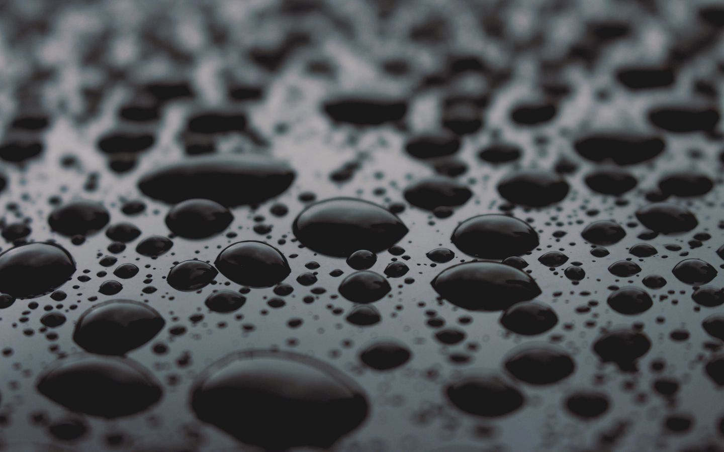 1440x900 Wallpaper drops, surface, close-up, black
