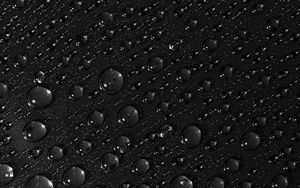 Preview wallpaper drops, surface, macro, liquid, bw