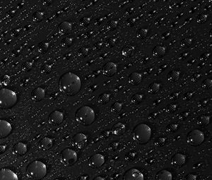 Preview wallpaper drops, surface, macro, liquid, bw