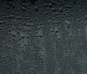 Preview wallpaper drops, surface, macro, wet, gray
