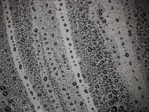 Preview wallpaper drops, surface, moist, bw