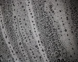 Preview wallpaper drops, surface, moist, bw