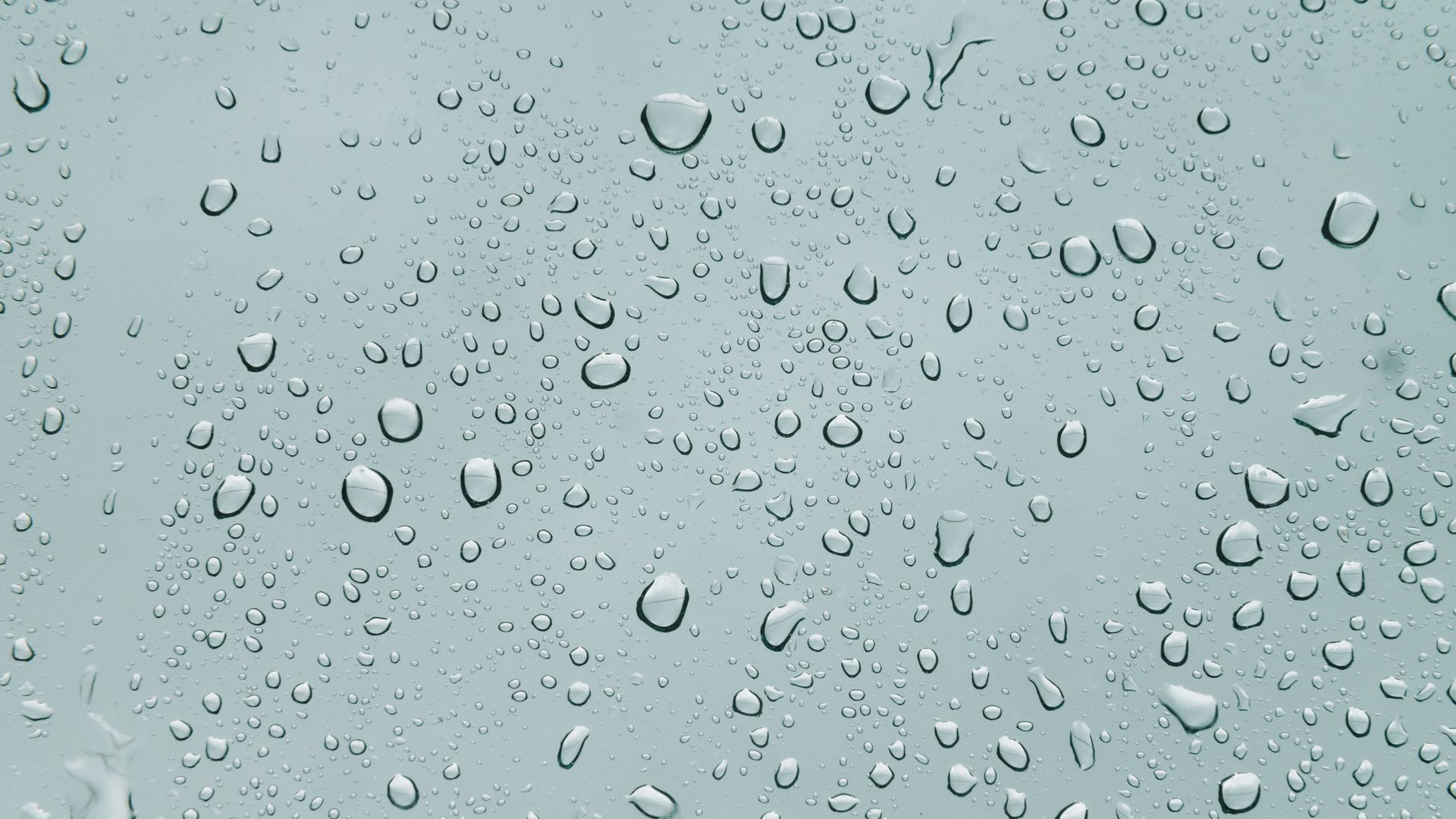 Download wallpaper 1920x1080 drops, surface, rain, moisture, form, wet