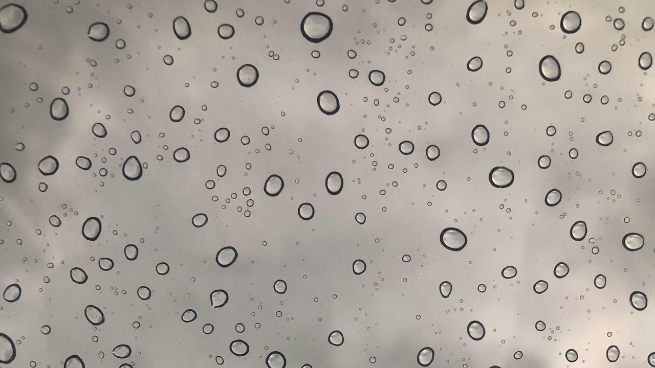 Wallpaper drops, water, bw, macro, wet
