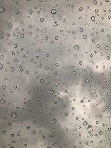 Preview wallpaper drops, water, bw, macro, wet