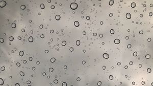 Preview wallpaper drops, water, bw, macro, wet