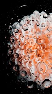 Preview wallpaper drops, water, flower, petals, macro