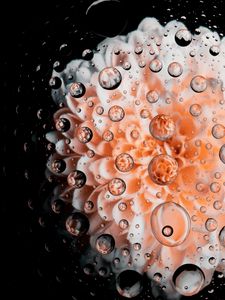 Preview wallpaper drops, water, flower, petals, macro