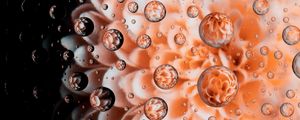 Preview wallpaper drops, water, flower, petals, macro