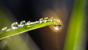 Preview wallpaper drops, water, glare, leaf, grass, macro