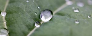 Preview wallpaper drops, water, leaf, macro, reflection