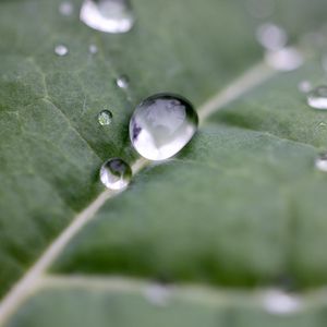 Preview wallpaper drops, water, leaf, macro, reflection