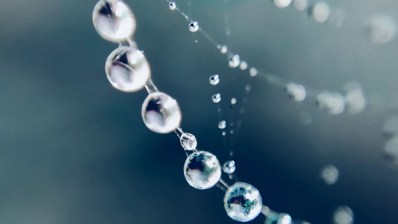 Wallpaper drops, water, line, macro