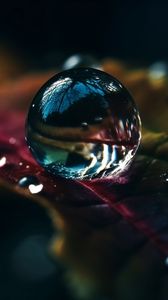 Preview wallpaper drops, water, macro, reflection, leaf