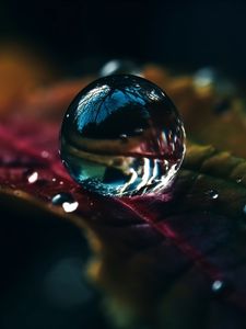 Preview wallpaper drops, water, macro, reflection, leaf