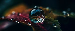 Preview wallpaper drops, water, macro, reflection, leaf