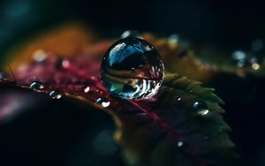 Preview wallpaper drops, water, macro, reflection, leaf
