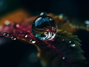 Preview wallpaper drops, water, macro, reflection, leaf